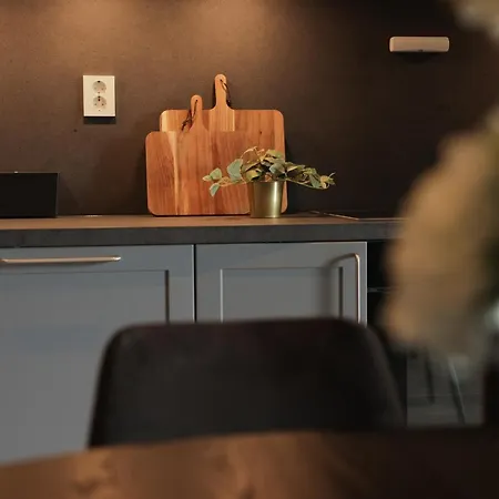 Elegant In Alpine Apartment Trysil
