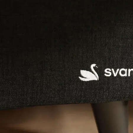 Elegant In Alpine Apartment