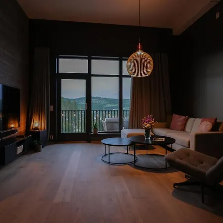 Elegant In Alpine Apartment